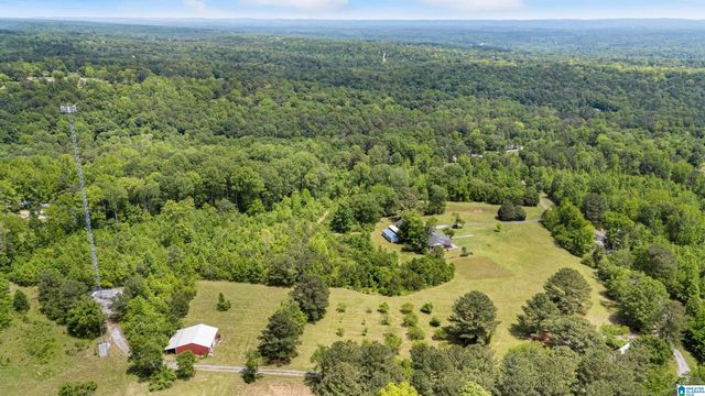 390 CHAMBLEE LANE, Warrior, AL 35180