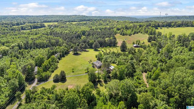 390 CHAMBLEE LANE, Warrior, AL 35180