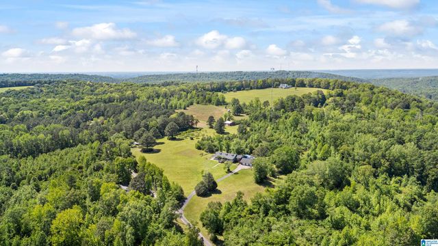 390 CHAMBLEE LANE, Warrior, AL 35180