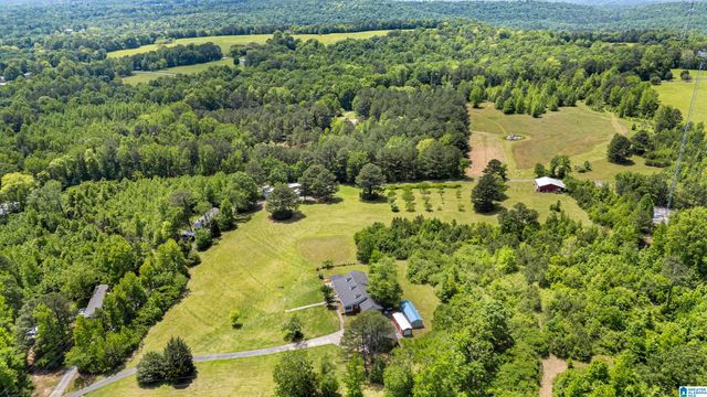 390 CHAMBLEE LANE, Warrior, AL 35180