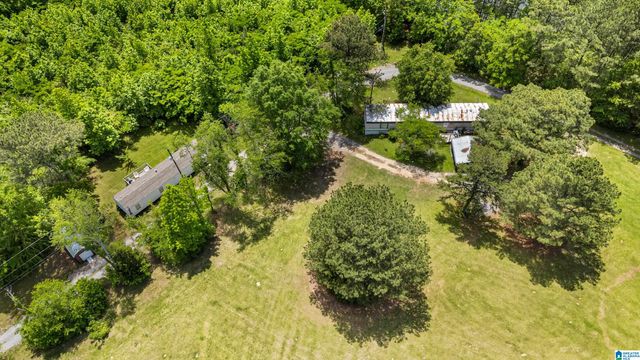 390 CHAMBLEE LANE, Warrior, AL 35180