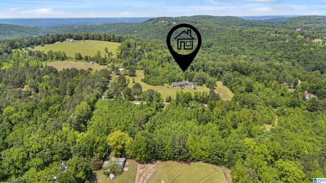 390 CHAMBLEE LANE, Warrior, AL 35180