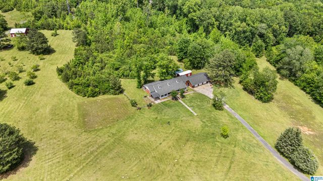 390 CHAMBLEE LANE, Warrior, AL 35180