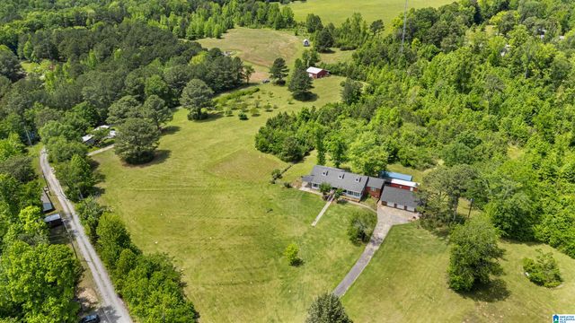 390 CHAMBLEE LANE, Warrior, AL 35180