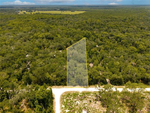 7337 RIVERVIEW DRIVE, Webster, FL 33597