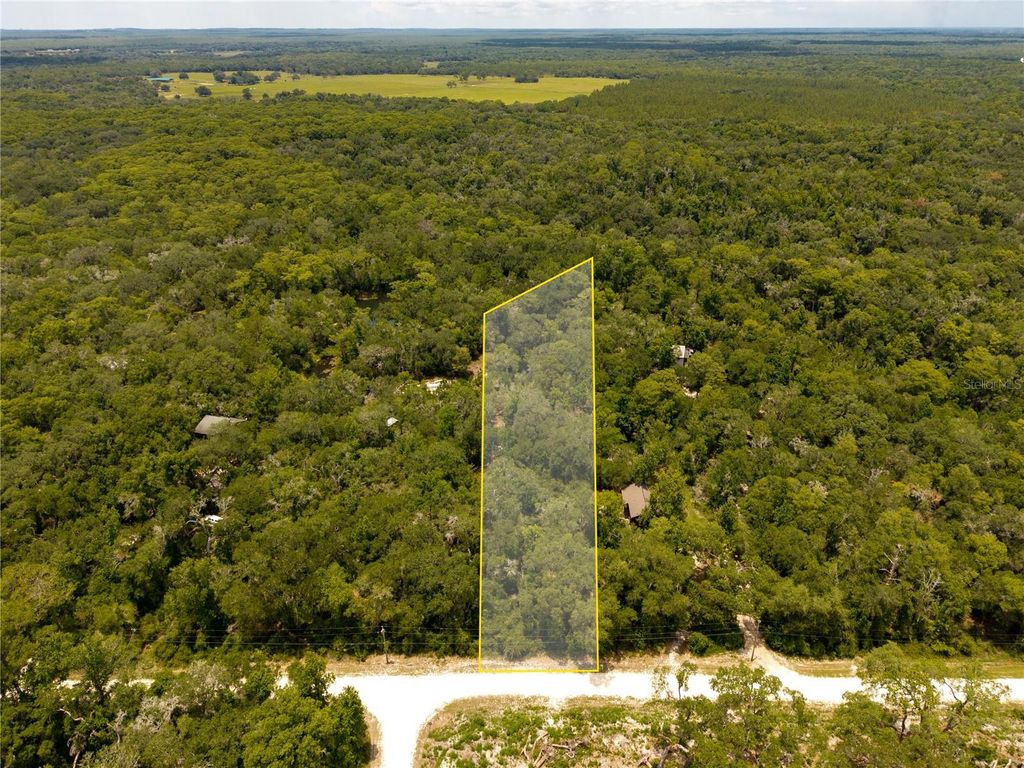 7337 RIVERVIEW DRIVE, Webster, FL 33597