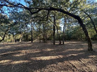 TR 2 Cr 219, Buffalo, TX 75831