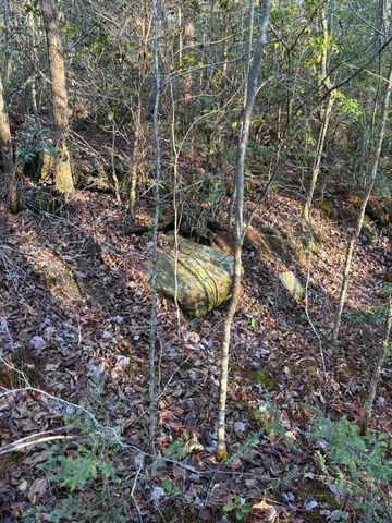 4551 Henson Gap Road, Dunlap, TN 37327
