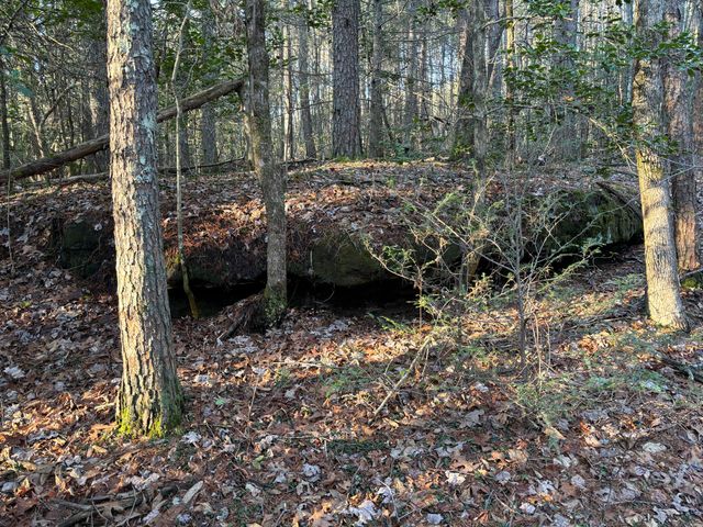 4551 Henson Gap Road, Dunlap, TN 37327