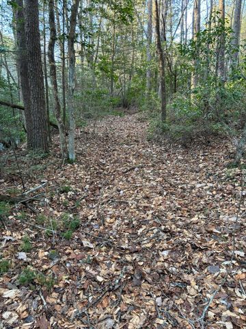 4551 Henson Gap Road, Dunlap, TN 37327