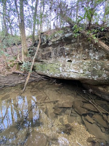 4551 Henson Gap Road, Dunlap, TN 37327