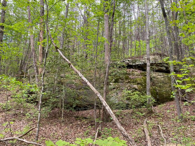 4551 Henson Gap Road, Dunlap, TN 37327