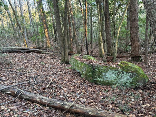 4551 Henson Gap Road, Dunlap, TN 37327