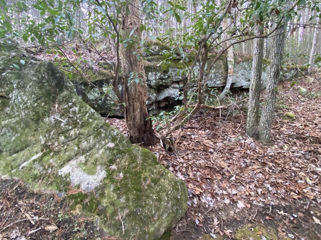 4551 Henson Gap Road, Dunlap, TN 37327
