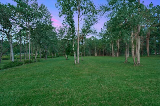 2218 Honea Egypt Road, Magnolia, TX 77354