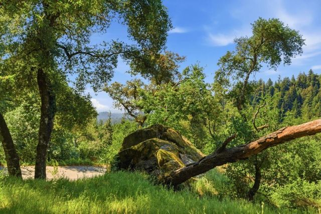 17515 Upper East Zayante Road, Los Gatos, CA 95033