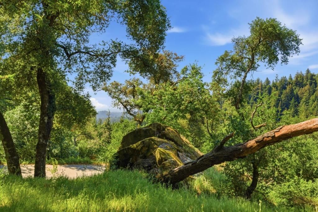 Image 47 of property listing at 17515 Upper East Zayante Road, Los Gatos, CA 95033