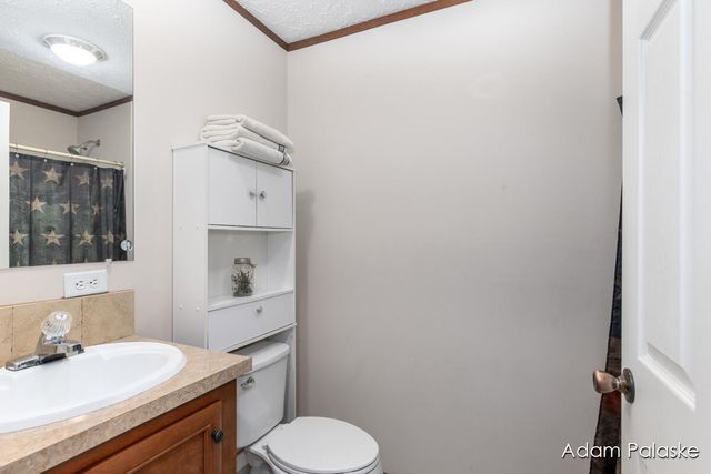 171 W Sidney Road, Sidney Twp, MI 48885