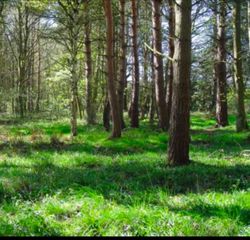 LOT 2 Winterberry Ln, Easton, MA 02256