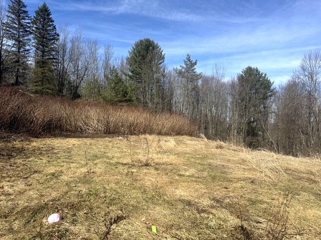 5905 Morton Hill Road, Hornellsville, NY 14843