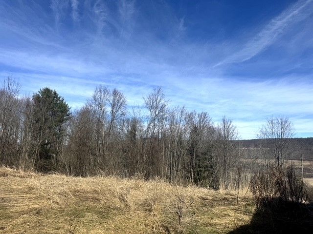 5905 Morton Hill Road, Hornellsville, NY 14843