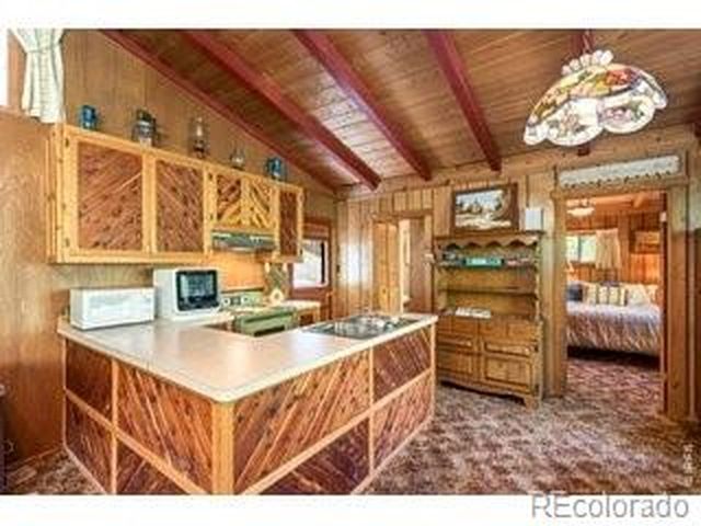 702 Bryan Ave, Nederland, CO 80466