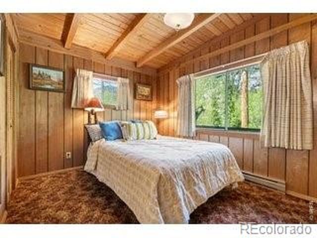 702 Bryan Ave, Nederland, CO 80466