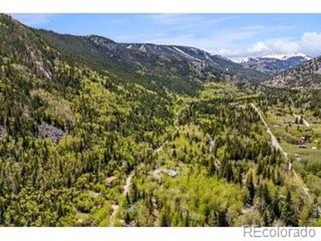 702 Bryan Ave, Nederland, CO 80466