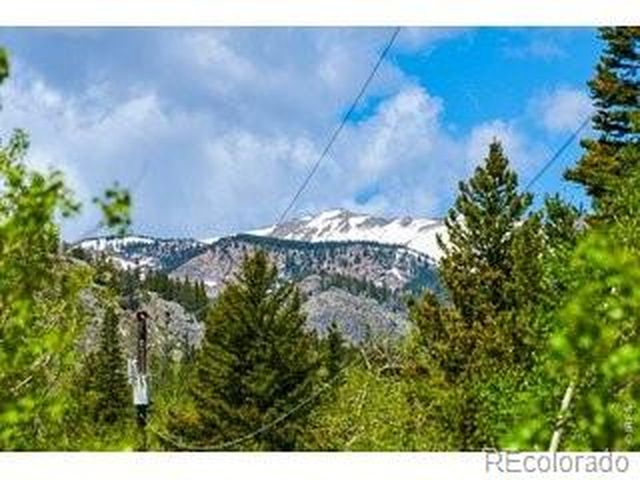 702 Bryan Ave, Nederland, CO 80466