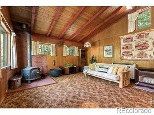 702 Bryan Ave, Nederland, CO 80466