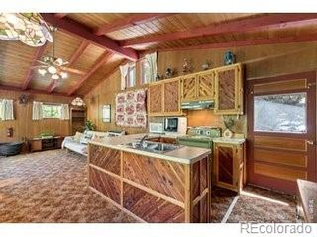 702 Bryan Ave, Nederland, CO 80466