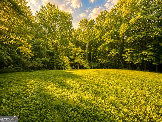 1564 Rackley Road, Ellijay, GA 30536