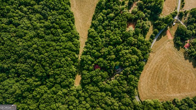 1564 Rackley Road, Ellijay, GA 30536