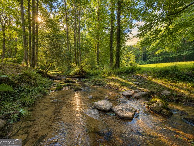 1564 Rackley Road, Ellijay, GA 30536