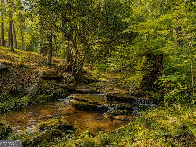 1564 Rackley Road, Ellijay, GA 30536