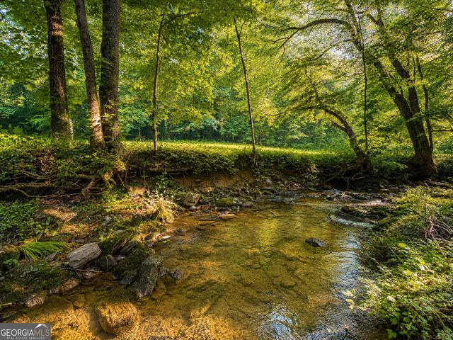 1564 Rackley Road, Ellijay, GA 30536