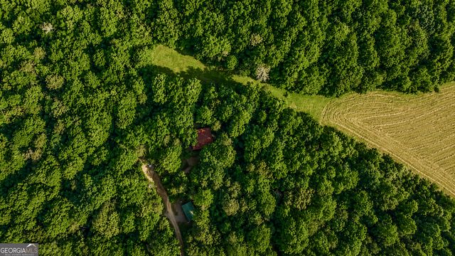 1564 Rackley Road, Ellijay, GA 30536