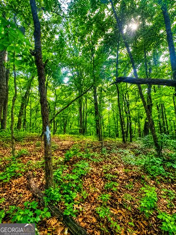 1564 Rackley Road, Ellijay, GA 30536