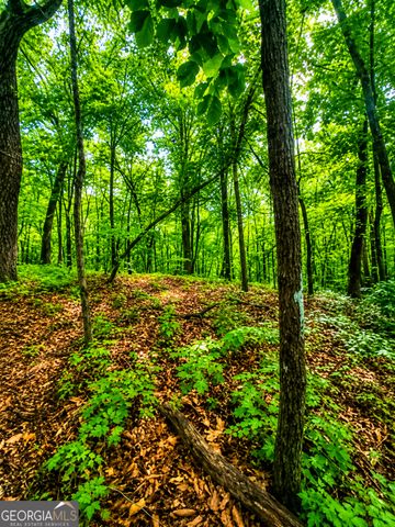 1564 Rackley Road, Ellijay, GA 30536