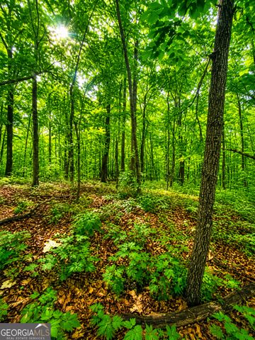 1564 Rackley Road, Ellijay, GA 30536