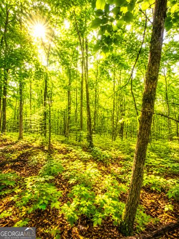 1564 Rackley Road, Ellijay, GA 30536