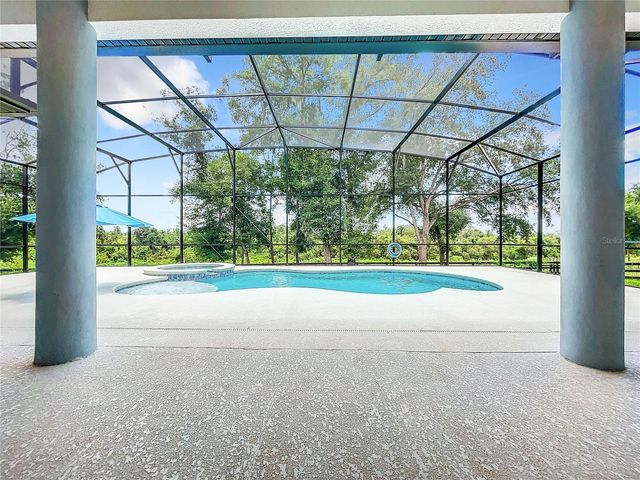20404 WOLF SPRINGS COURT, Clermont, FL 34715