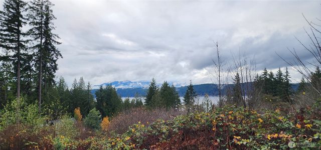 0 E Twanoh Heights Road, Belfair, WA 98528