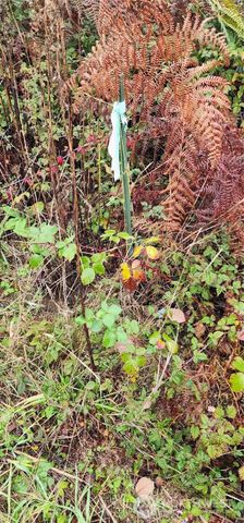 0 E Twanoh Heights Road, Belfair, WA 98528