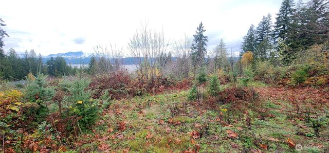 0 E Twanoh Heights Road, Belfair, WA 98528