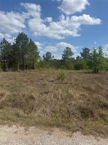 TBD Lakewood DR, Bastrop, TX 78602