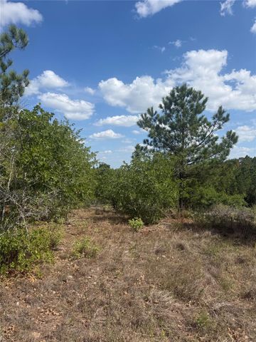 TBD Lakewood DR, Bastrop, TX 78602