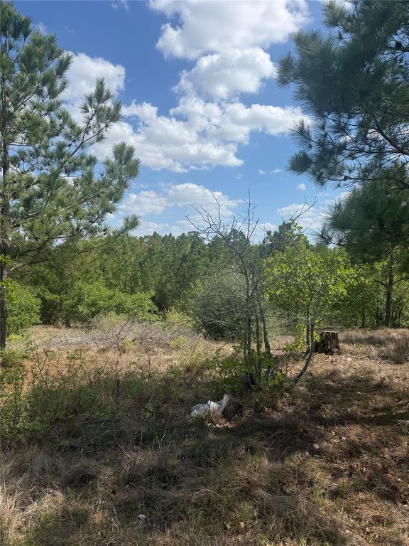 TBD Lakewood DR, Bastrop, TX 78602