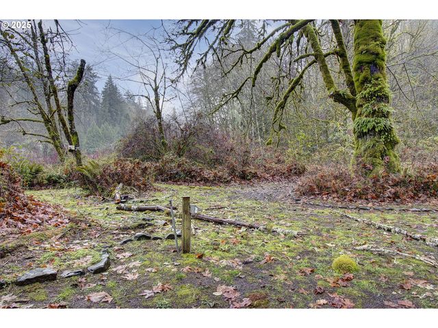 373 FALLERT Rd, Kalama, WA 98625