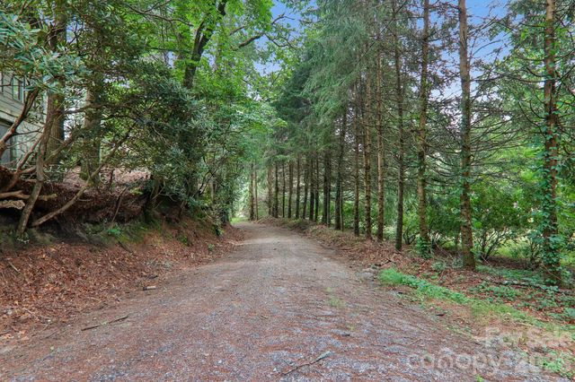 61 Bo Diddly Lane, Cedar Mountain, NC 28718
